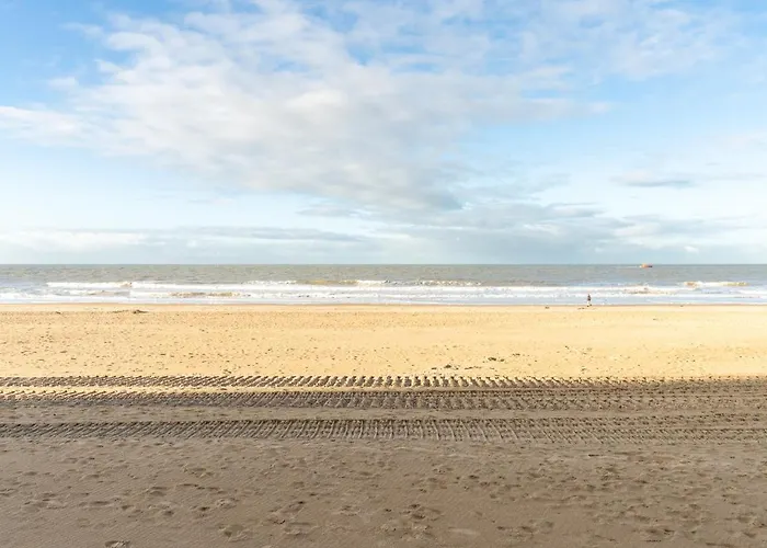 Dijk - Puur * Oostende